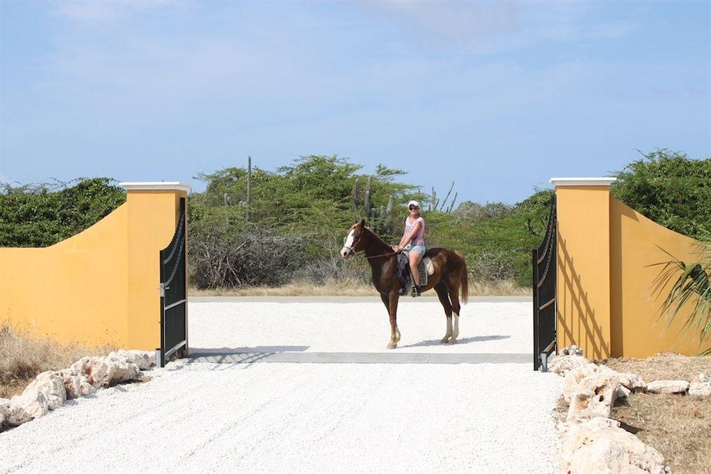 Wanapa Lodge Bonaire Exterior foto